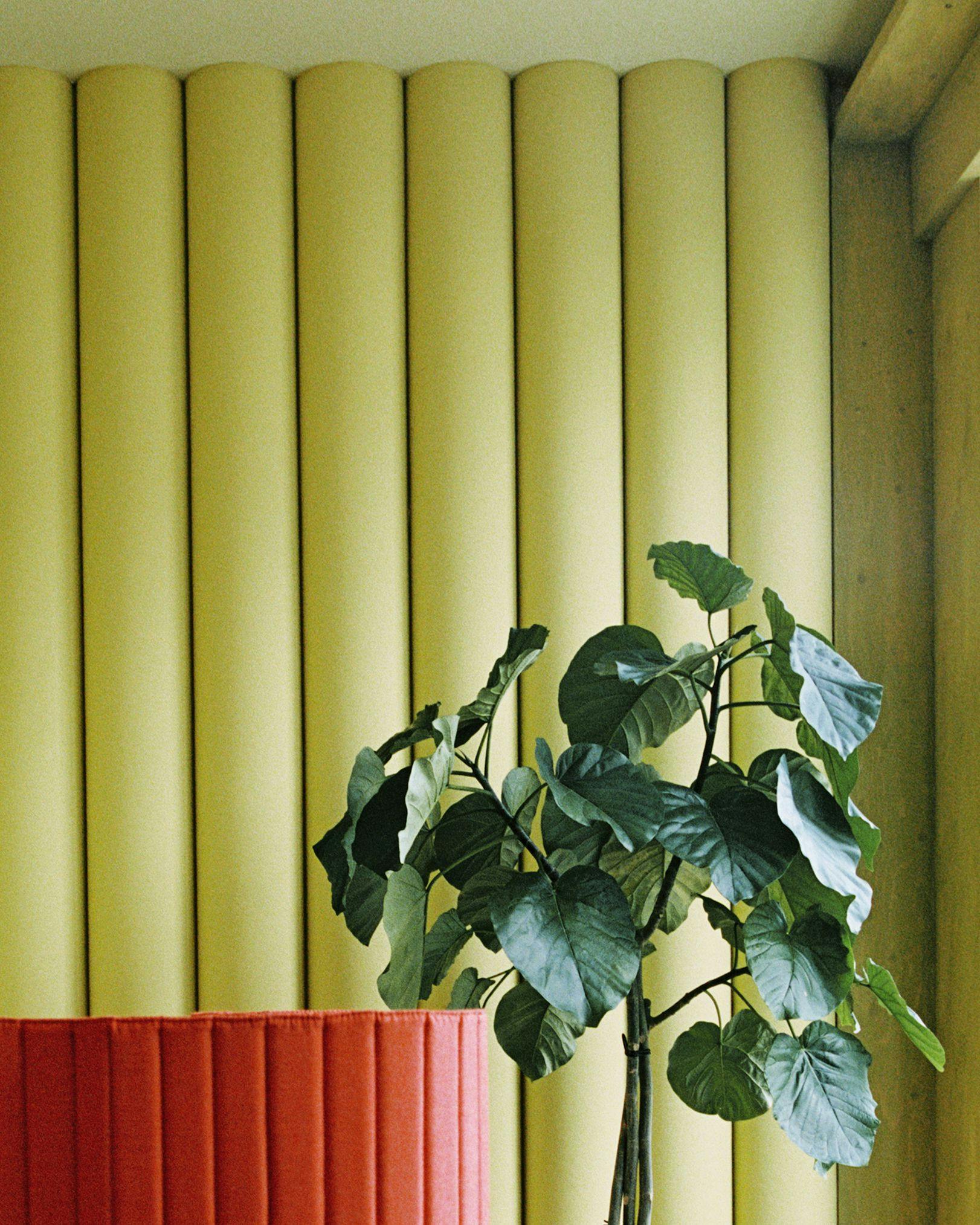 A light green round-shaped wall with a tree in front