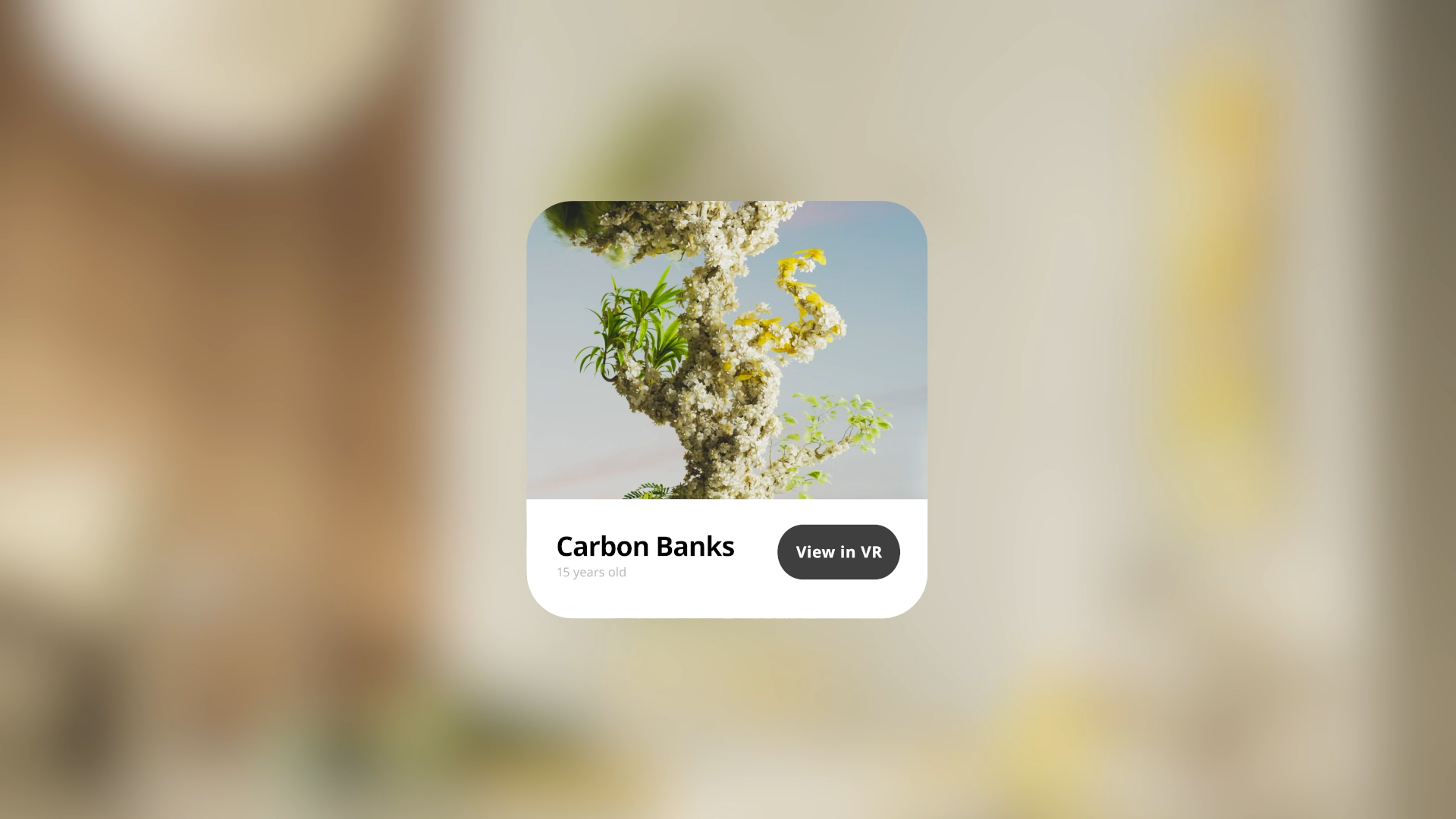 A square card showing a blooming white-flowered tree with green leaves under a blue sky, labeled "Carbon Banks" and "15 years old" with a dark "View in VR" button.