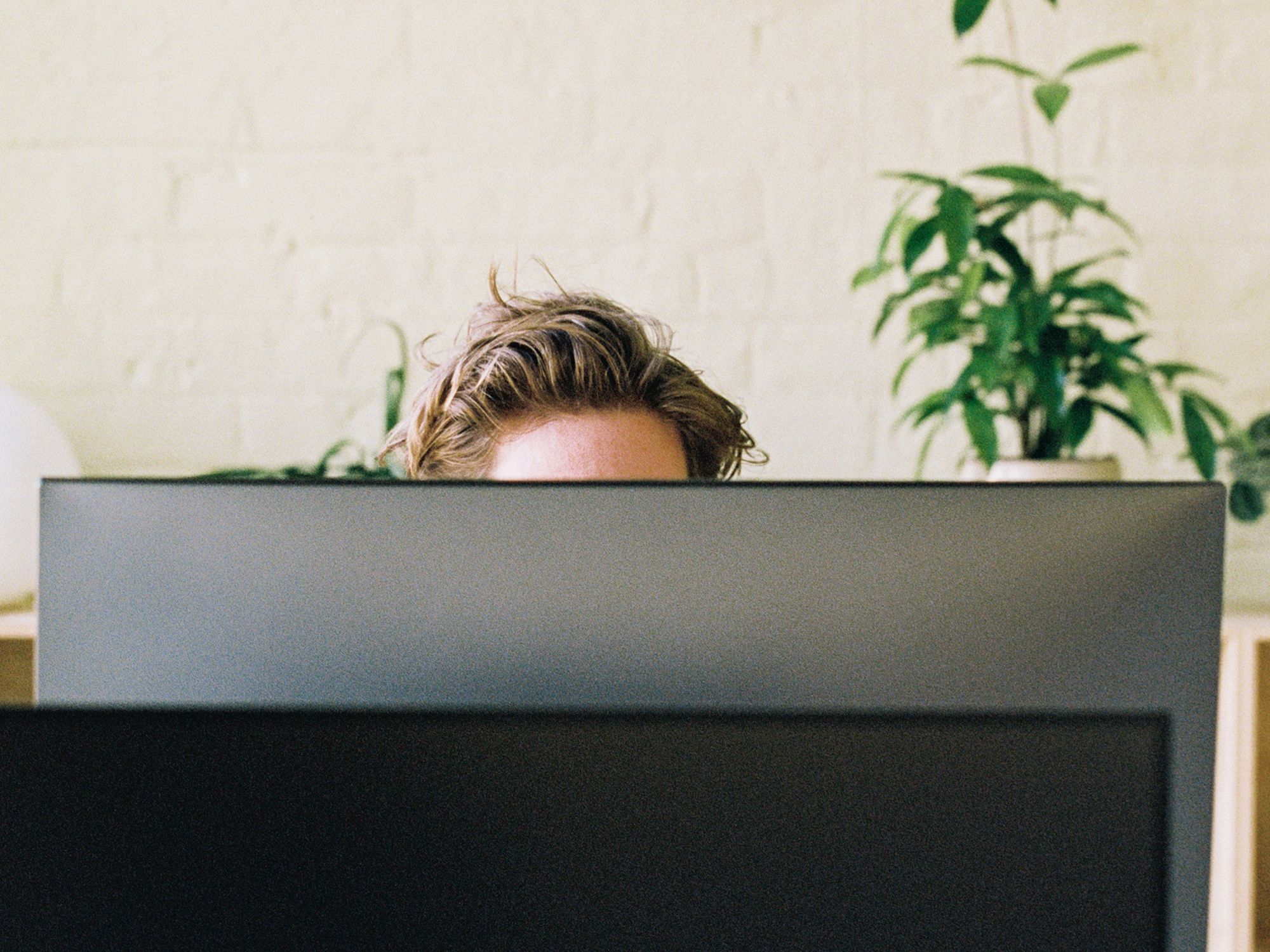 Photo of someone working behind a computer display. The photo is taken from behind the display so only the top half of the person's head is visible