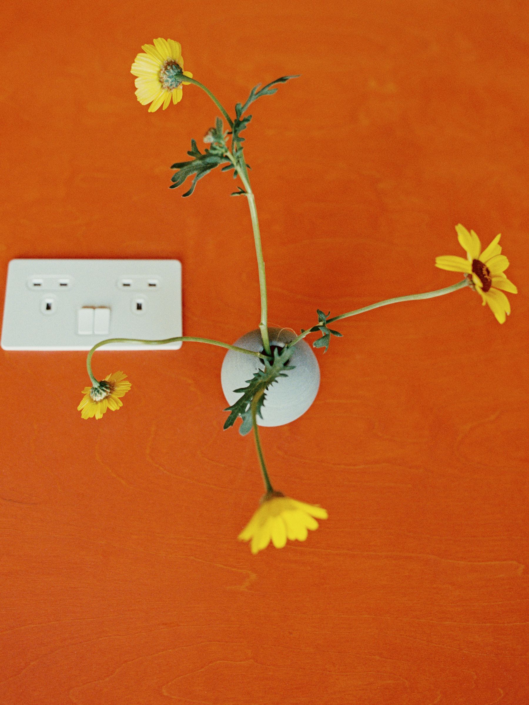 An orange table with yellow flowers in a vase seen from above