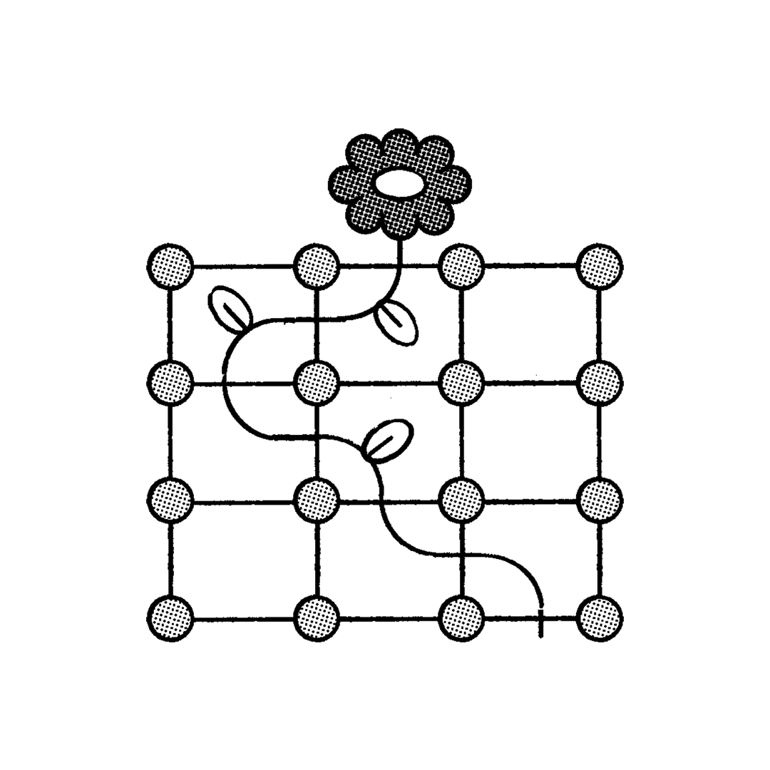 illustration of a flower blooming 