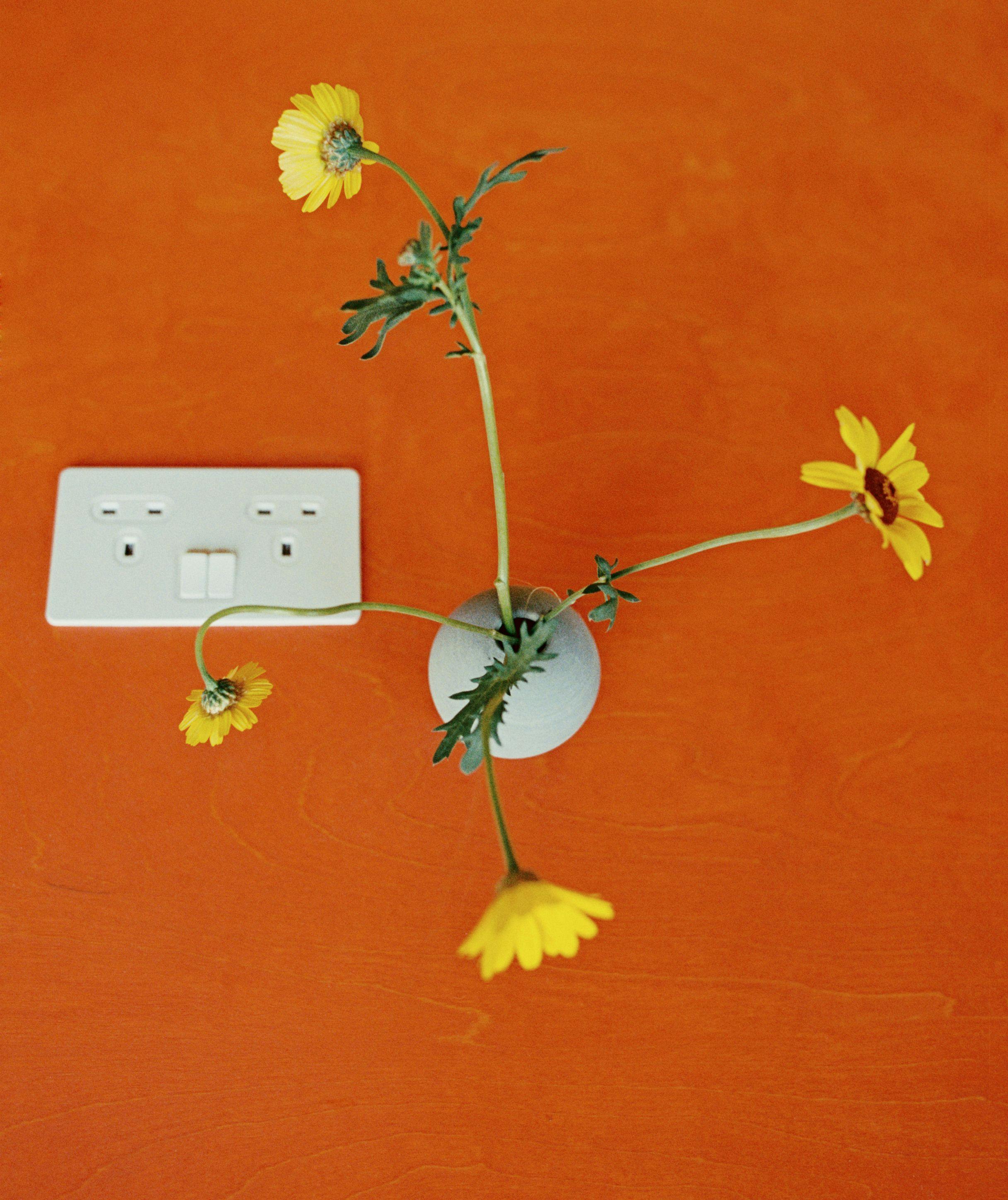 Yellow flowers on a orange table seen from above