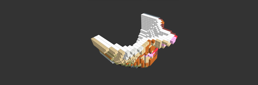 voxels